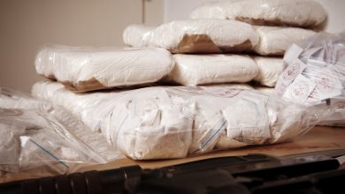 Photo of Découverte de près de 500 kgs de cocaïne à Oran