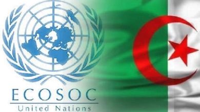 Photo of Election de l’Algérie à deux organes de l’Ecosoc à l’ONU