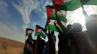 Photo of Impressionnant élan de soutien au peuple Sahraoui devant la commission de l’ONU