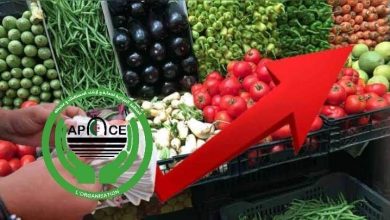 Photo of L’association de protection des consommateurs appelle au plafonnement des prix des légumes