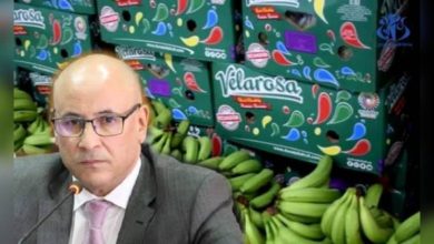 Photo of Importation et commerce de la banane : le ministère revoit les règles