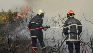 Photo of Point de situation des incendies : maîtrisés à plus de 80%