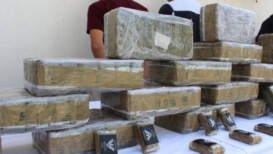 Photo of 60 kgs de résine de cannabis saisis à Oran: le réseau opérait à partir du Maroc