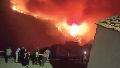 Photo of Bejaia : Tous les feux de forêts maîtrisés