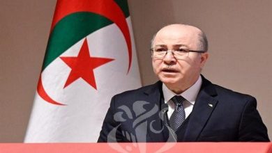 Photo of Défense des causes et des intérêts du continent africain : Le rôle de l’Algérie réaffirmé