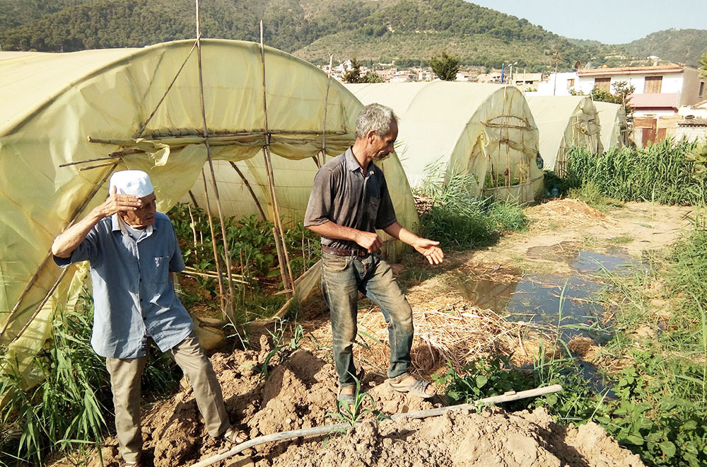 Photo of Des récoltes agricoles noyées par les eaux usées: La Seaal mise en cause  (vidéo)