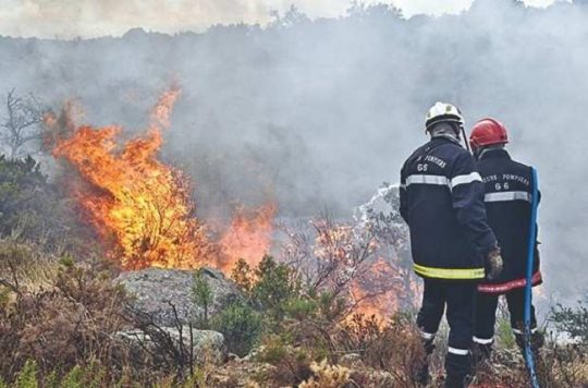 Photo of Incendies ravageurs: Le  Djurdjura brûle…