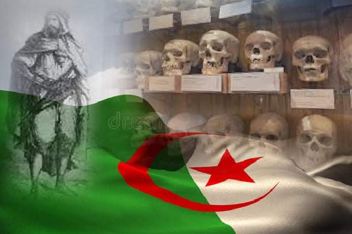 Photo of Tebboune l’a annoncé : les restes mortuaires de 24 résistants en cours de rapatriement