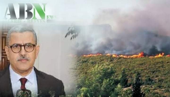 Photo of Plus de 8000 hectares de forêts partis en fumée: incendies d’origine criminelle