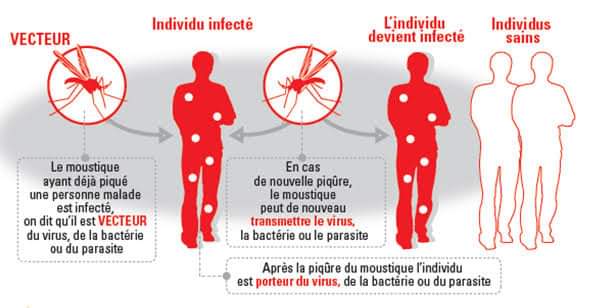 Photo of Le paludisme, l’autre inquiétude qui gagne du terrain dans le sud