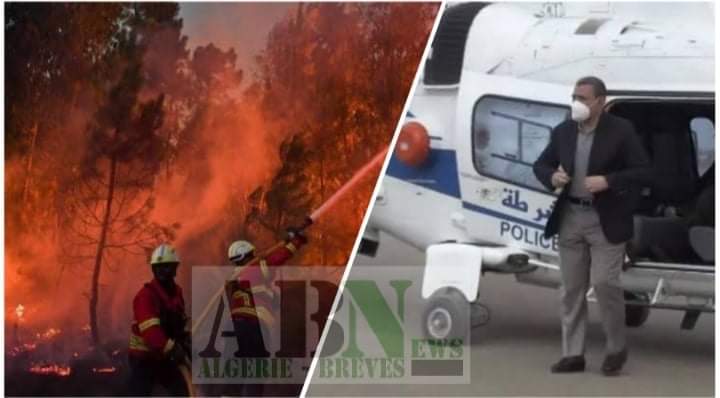 Photo of Les feux de forêts font réagir le premier ministre