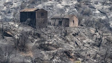 Photo of Habitations brûlées dans les incendies de Tizi-Ouzou : des aides de 250 000 à 1 million de DA