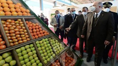 Photo of Fruits et légumes : La marge bénéficiaire ne doit pas dépasser 20%,  selon le premier ministre