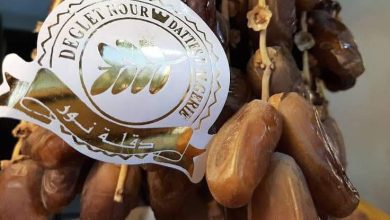 Photo of Qualité et exportation des dattes Algériennes : le Ministère de l’agriculture dément et rassure