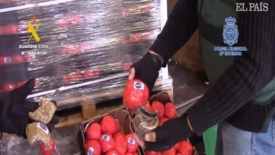 Photo of 22 tonnes de haschich présentées en tomate : La cargaison saisie par les espagnols provenait du Maroc