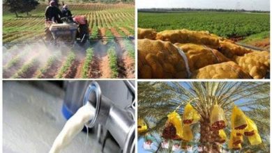 Photo of Recensement général de l’agriculture : 8000 enquêteurs seront mobilisés en Octobre