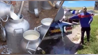 Photo of Chantage sur le lait collecté : l’État réagit et tranche