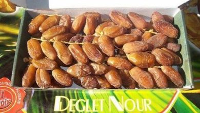 Photo of Valorisation du produit national à l’export : Position tarifaire spécifique pour Deglet Nour