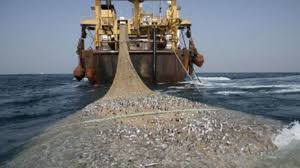 Photo of Accord de pêche : l’UE pourrait ouvrir des « négociations directes » avec le Front Polisario
