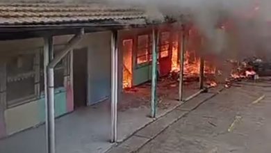 Photo of Zemmouri : Une école primaire ravagée par les flammes