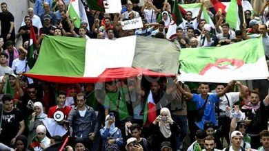 Photo of Solidarité avec la Palestine : Des milliers d’Algériens dans la rue