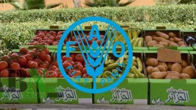 Photo of Accès à l’alimentation : l’Algérie dans la case verte, selon un classement des organisations de l’ONU