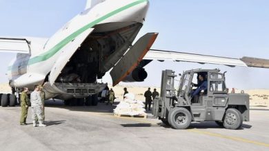 Photo of Aides humanitaires pour Ghaza : deux avions des Forces aériennes algériennes se posent lundi à l’Aéroport d’El-Arich en Egypte    